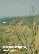 China GMO Corn Industry Market Research Report 2023-2029